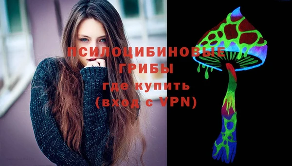 тгк Семилуки